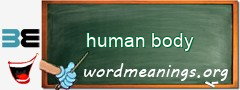 WordMeaning blackboard for human body